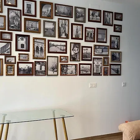 Loft De Diseno Junto A La Dama De Elche Daire *